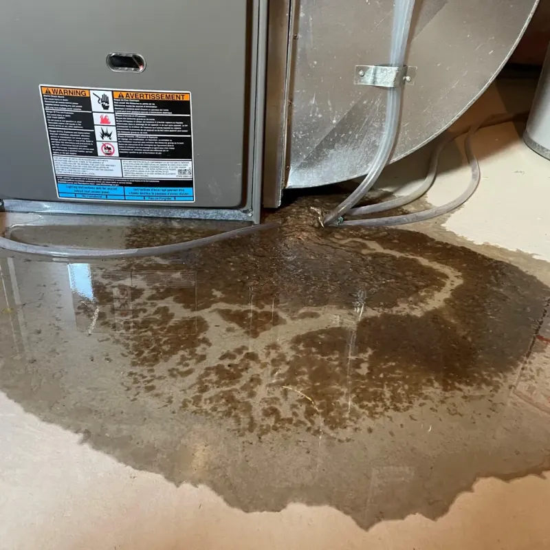 Appliance Leak Cleanup in Lincoln, AL